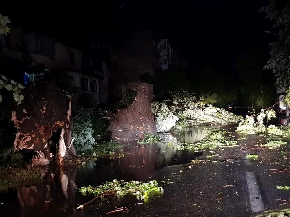 Mai mulţi copaci au fost retezaţi FOTO: facebook/Meteoplus