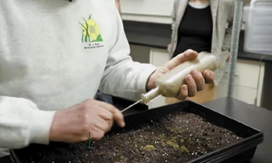 in 1879 un om de stiinta a ingropat mai mult sticle pline cu seminte la fiecare 20 de ani cate una este dezgropata si studiata 1034524 jpg