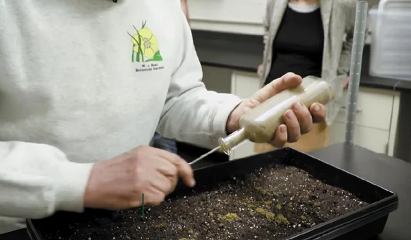 in 1879 un om de stiinta a ingropat mai mult sticle pline cu seminte la fiecare 20 de ani cate una este dezgropata si studiata 1034524 jpg