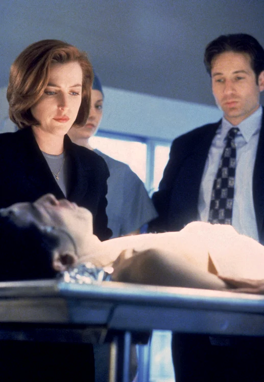 8 profimedia 0293822673 jpg jpeg