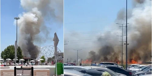 Incendiu vegetație uscată Chiajna. Foto Antena 3