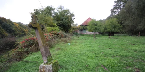 valea mare de cris foto daniel guta