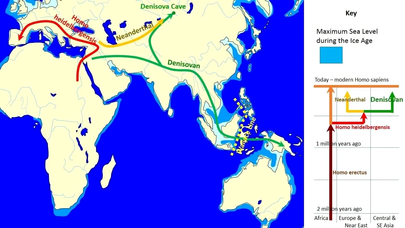Evoluția și răspândirea geografică a denisovanilor (© John D. Croft / Wikimedia Commons)