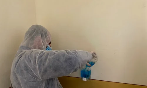 Și la Pitești se pun recipientele pentru dezinfectant în scările de bloc jpeg