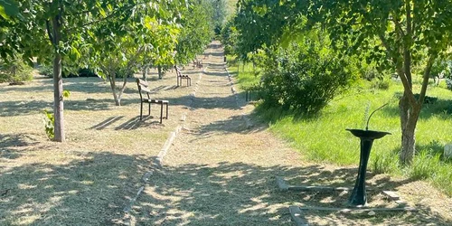 parc scanteiesti jpg