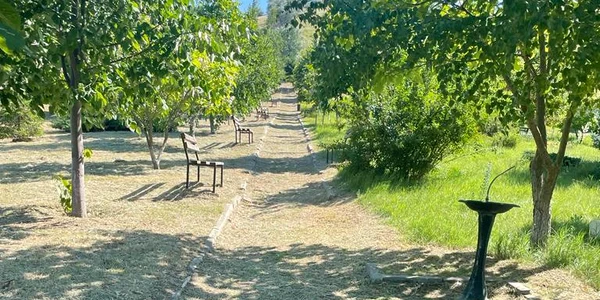 parc scanteiesti jpg