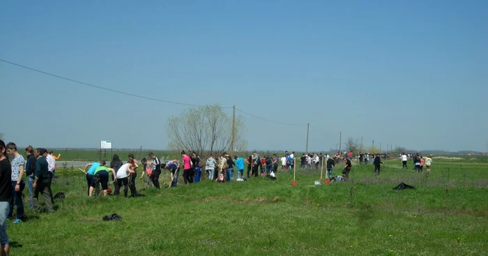 Foto arhivă