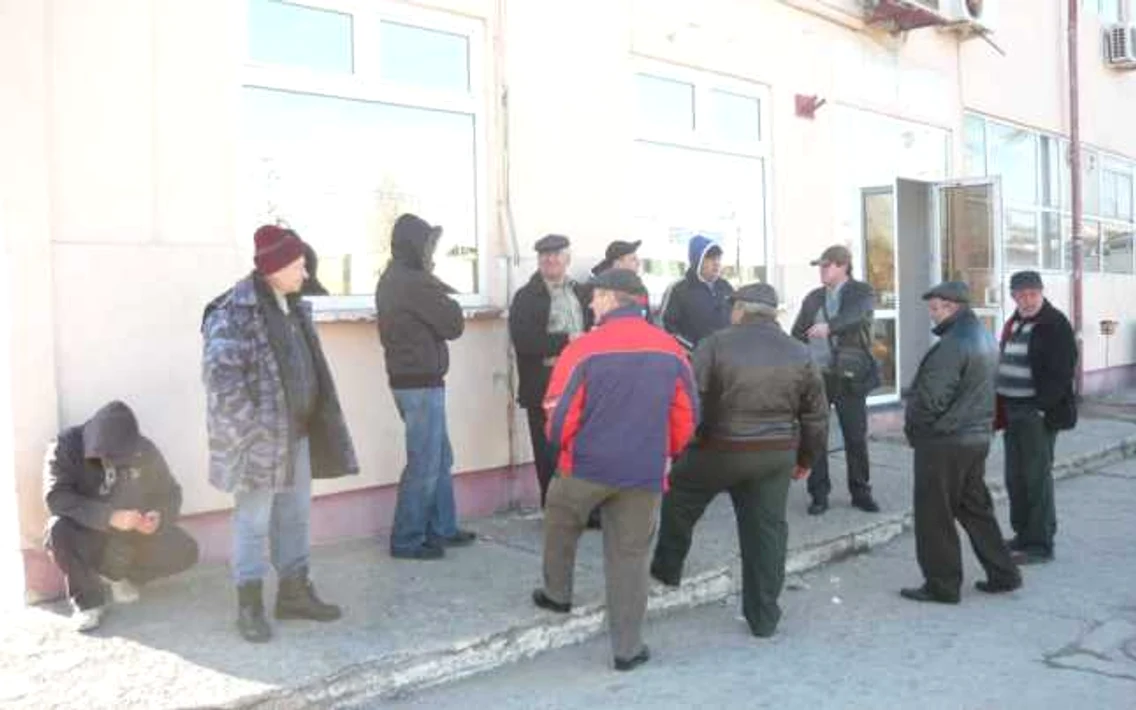 greva foamei stp tulcea