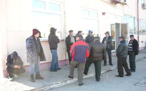 greva foamei stp tulcea