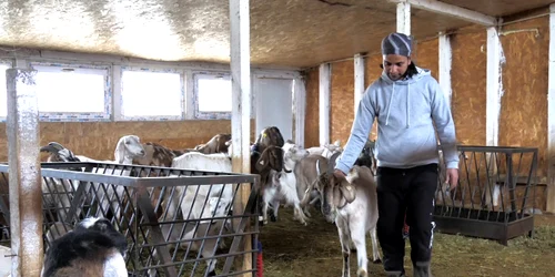 buzau nepalezul subas jpg