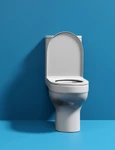 toaletă  foto   Shutterstock jpg