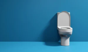 toaletă foto Shutterstock jpg