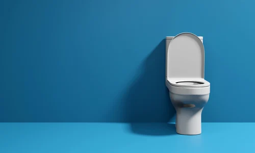 toaletă  foto   Shutterstock jpg