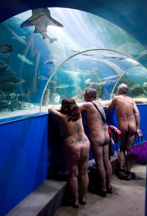 Nudiştii vin în fiecare an la acvariul din Cornwall