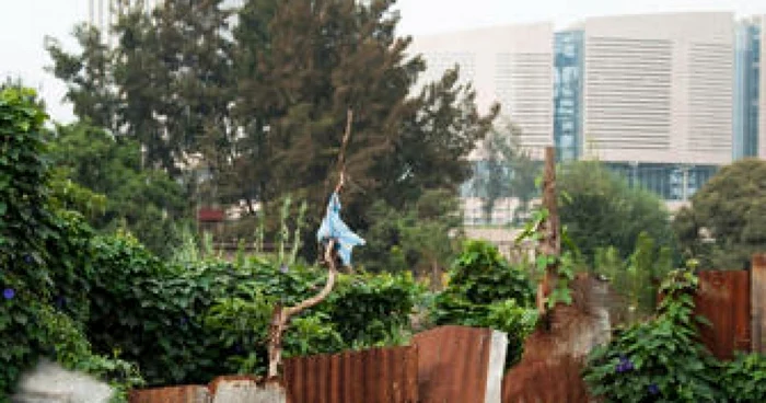 africa china