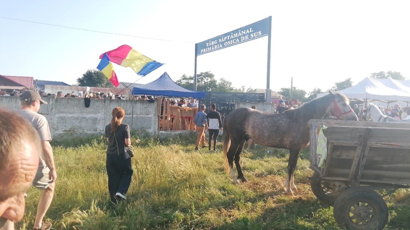 Oamenii au găsit o scurtătură pentru a ajunge în preajma fostului candidat FOTO: Alina Mitran