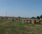 Arcaşii clubului TM Archary din Timişoara FOTO