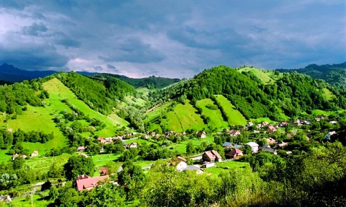 1 46516 original jpg jpeg