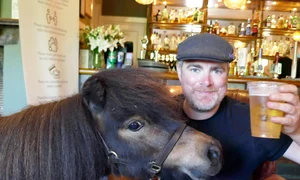 ponei patrick hp jpg