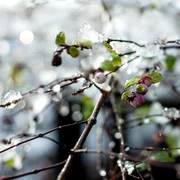 frig vreme meteo freepik jpg