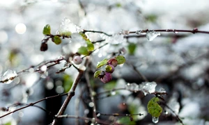 frig vreme meteo freepik jpg