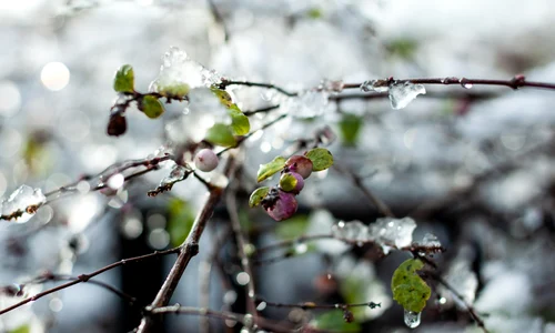 frig vreme meteo freepik jpg