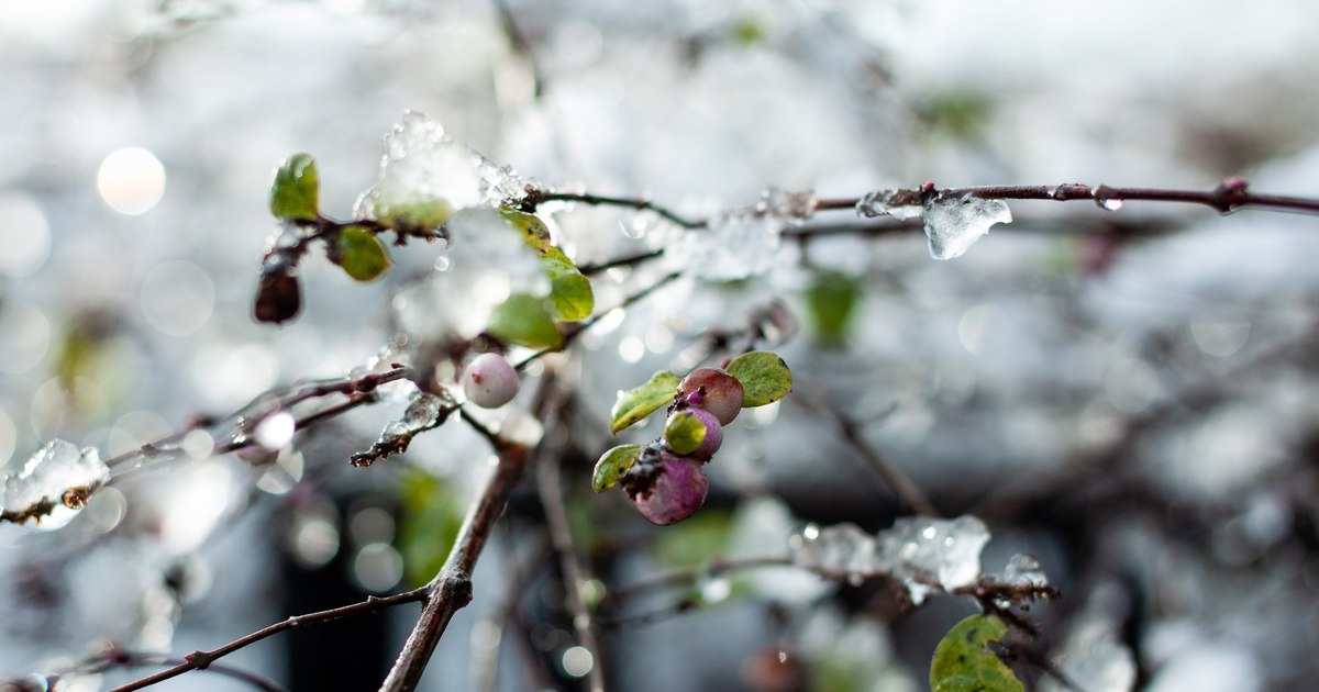 Vremea se răcește treptat în București. Care vor fi maximele în weekend