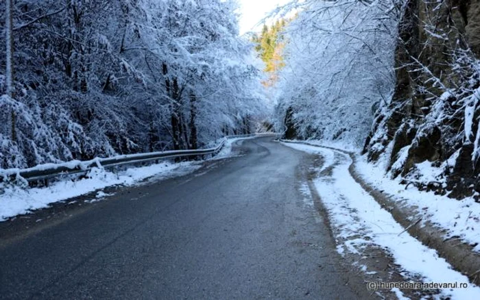 Drumul Valea Ursului - Lunca Cernii.