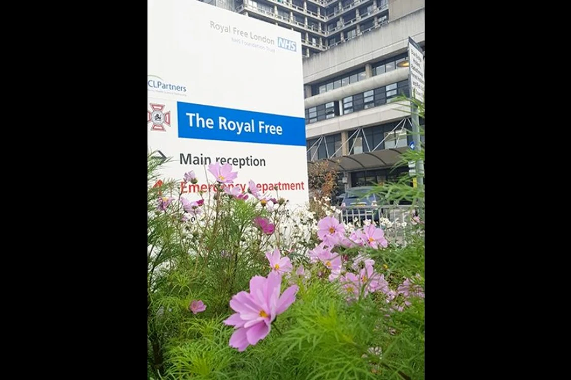 Bogatul spital englez jpeg