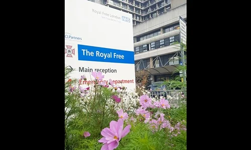 Bogatul spital englez jpeg