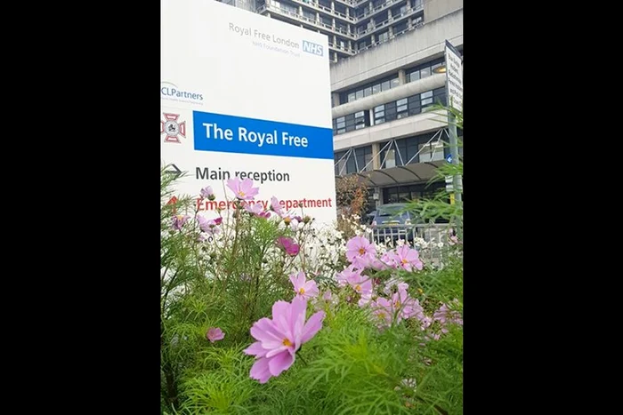 Bogatul spital englez jpeg