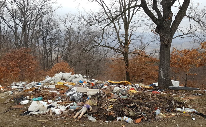 Un tânăr din Giurgiu a fost prins aruncând deșeuri pe câmp FOTO: Adevărul / Daniel Guță