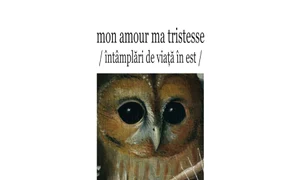 Jocurile privirii jpeg