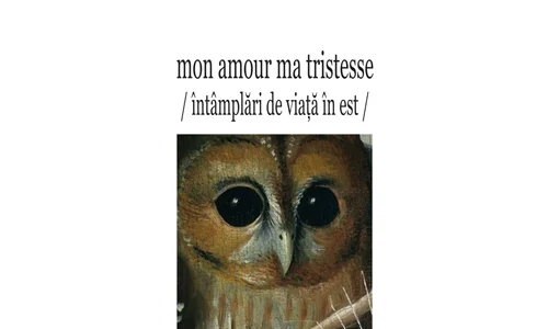 Jocurile privirii jpeg