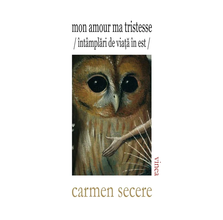 Jocurile privirii jpeg