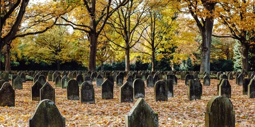 cimitir freepik jpg