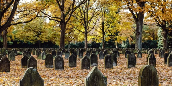 cimitir freepik jpg