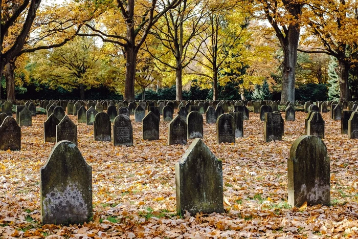 Cimitirul se află în Yamanashi / foto: Freepik