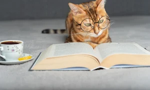 bookzone 356675 png