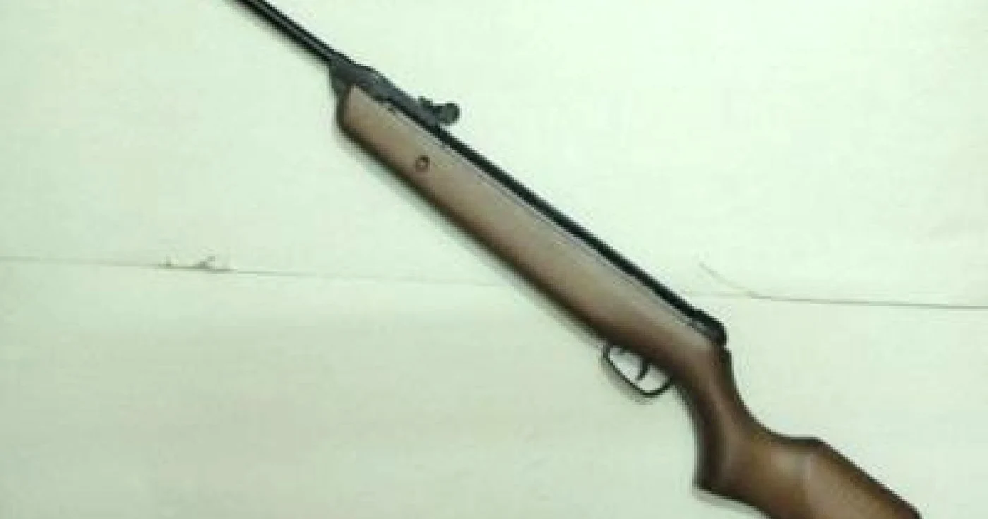 Paznicii au interdicţie să folosească armele pe perioada cercetărilor.