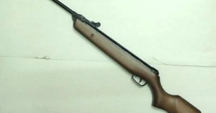 Paznicii au interdicţie să folosească armele pe perioada cercetărilor.
