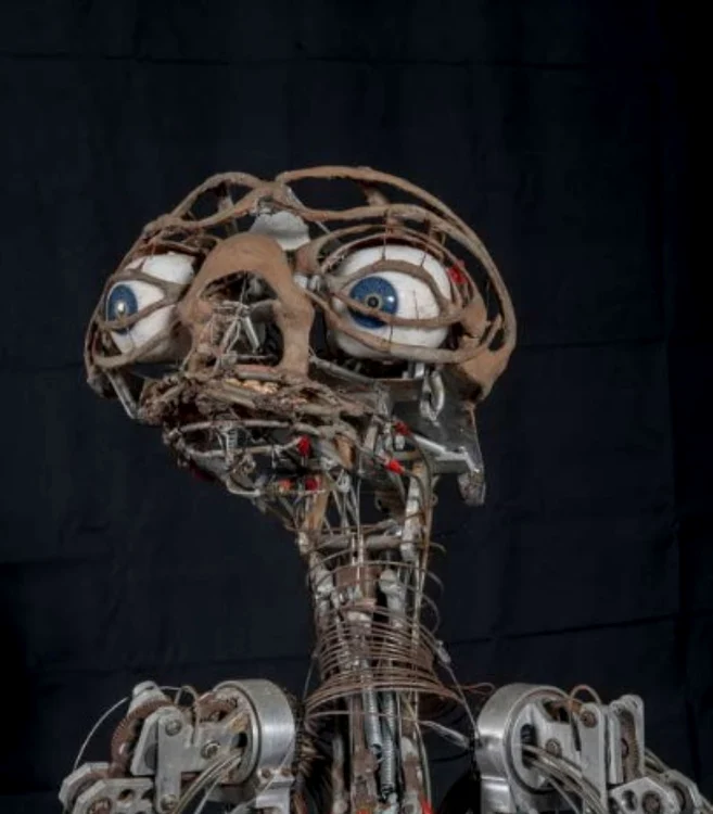 Aproape întreaga figurină este articulată Foto: Arhivă
