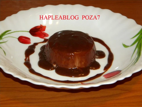 panna cotta de ciocolata 7 jpeg