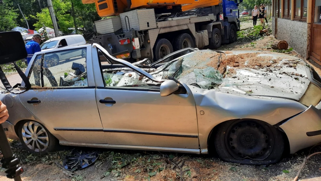 Maşină distrusă în totalitate de un copac, sursa: CM