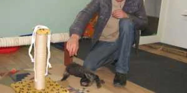 Tudor Constantinescu se joacă cu o pisică în locul special amenajat pentru feline