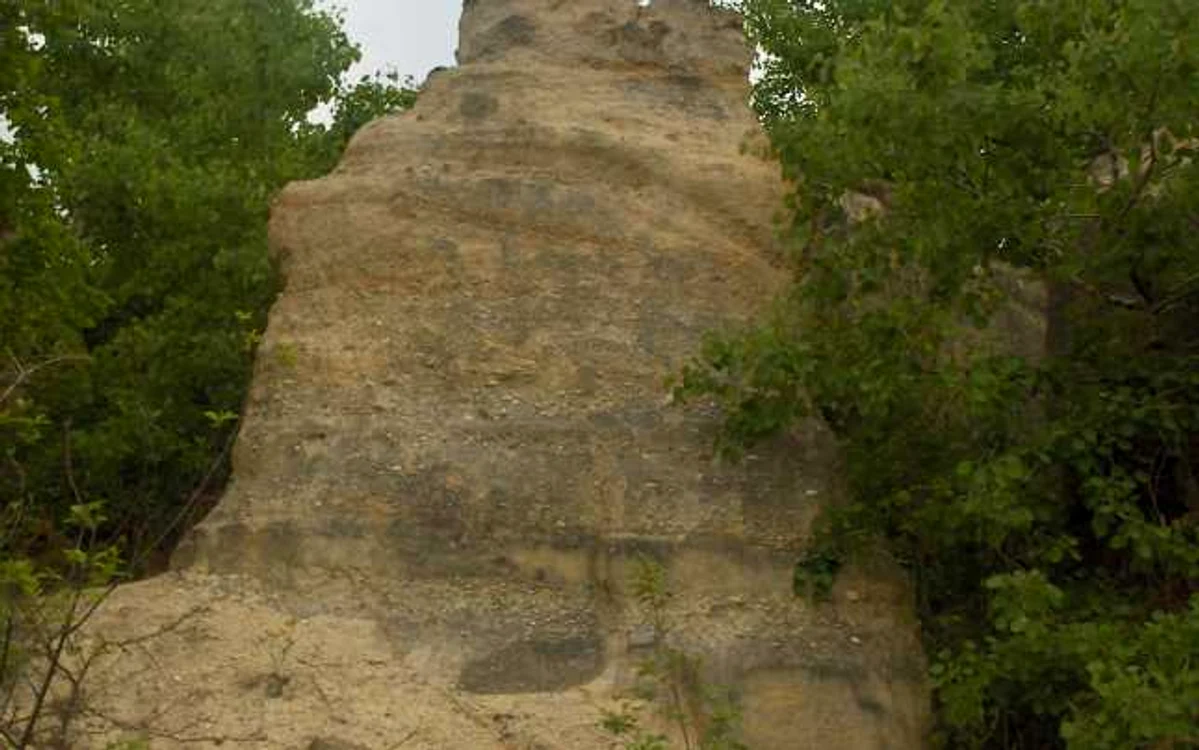 gradina zmeilor