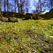Sarmizegetusa regia  Foto Administrația Sarmizegetusa Regia (2) jpg