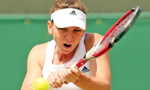 19 sport 6863606 afp mediafax foto andrew yates jpeg