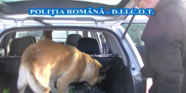 droguri sibiu tata si fiu FOTO DIICOT