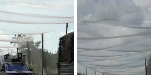 plase de pescuit folosite ca scut anti drone foto captura video cnn png